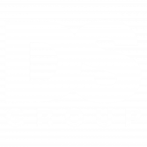 DS-logo-scritta-bianca+sfondo-trasparente